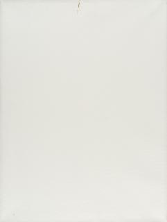 Karin Sander - „Patina-Bild Nr. 35“