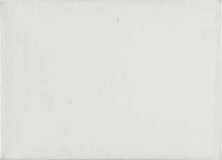 Karin Sander - „Patina Bild Nr. 39“