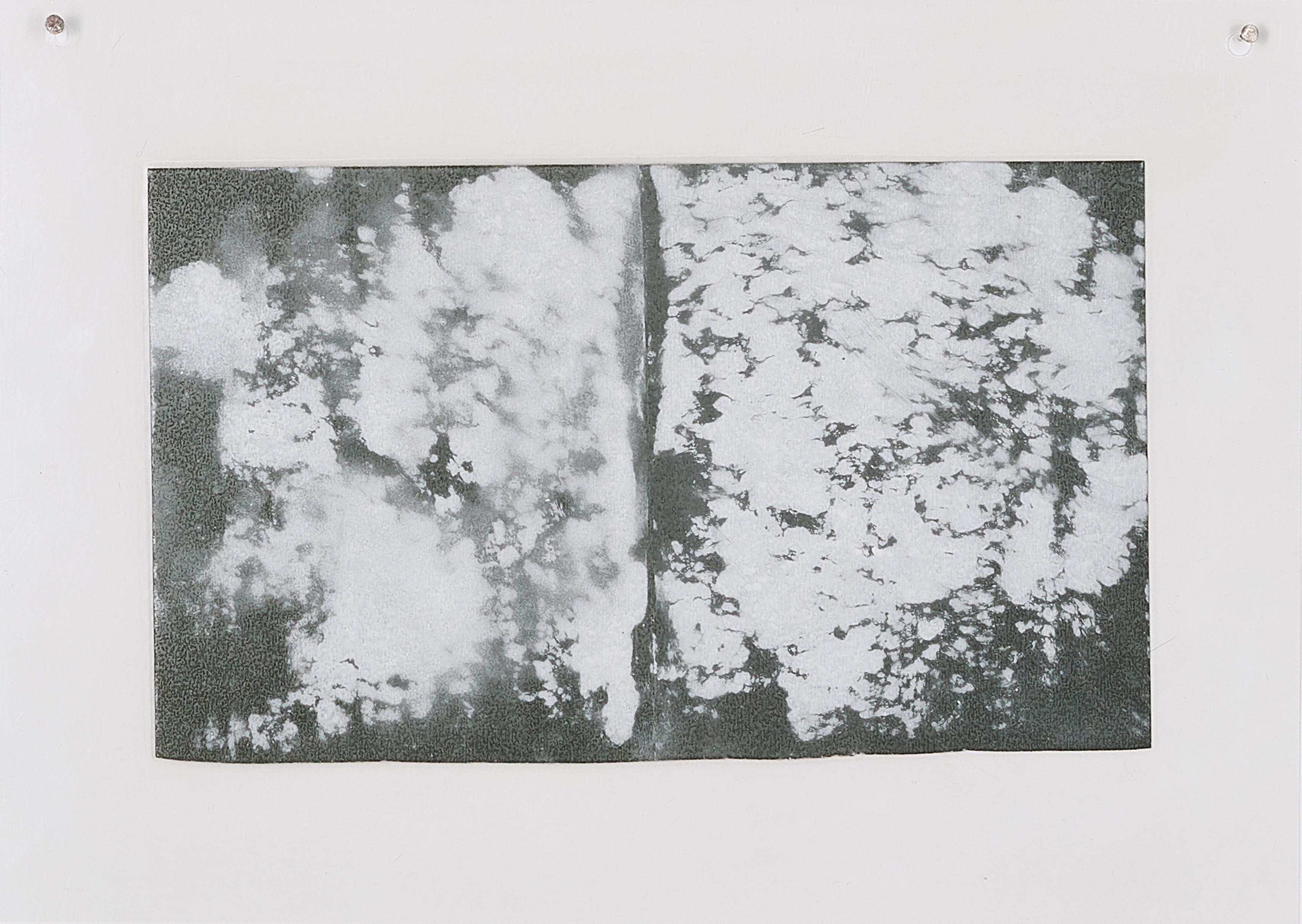 Karin Sander - Untitled.