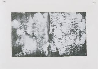 Karin Sander - Untitled.