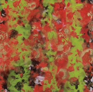 Karina Wisniewska - Nature Tunes, 2010 Nature Tunes, 2010