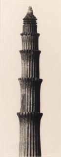 Karl Blossfeldt - Equisetum hyemale. Winterschachtelhalm 12-fache Vergrösserung