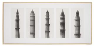 Karl Blossfeldt - Equisetum hyemale