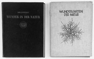 Karl Blossfeldt - Wundergarten Der Natur, Berlin: Verlag Fur Kunstwissenschaft, 1932; Wunder in Der Natur, Leipzig: Pantheon - Verlag Fur Kunstwissenschaft, 1942
