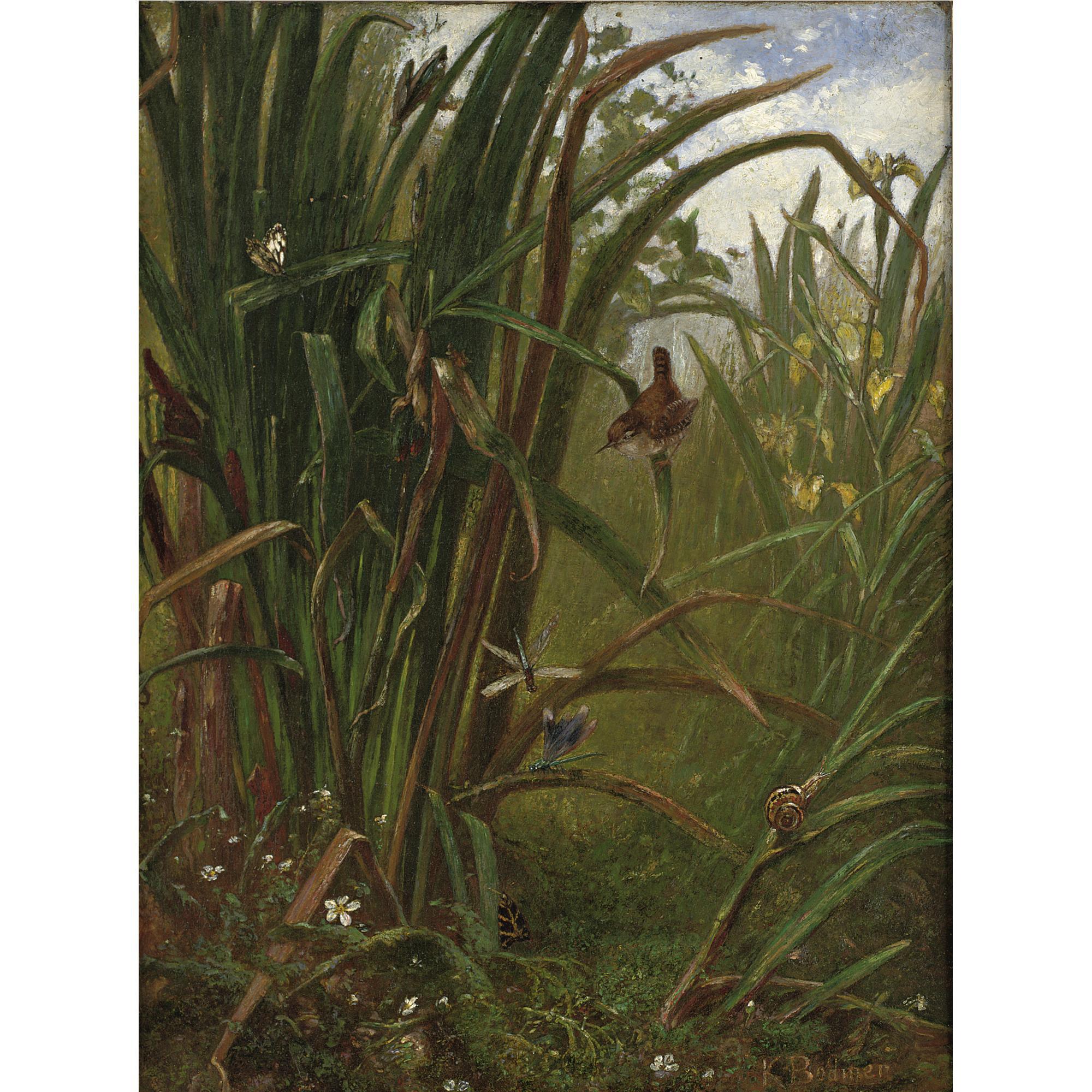 Karl Bodmer - Marsh Interior