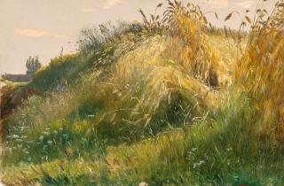 Karl Christian Sparmann - Wiesenstück