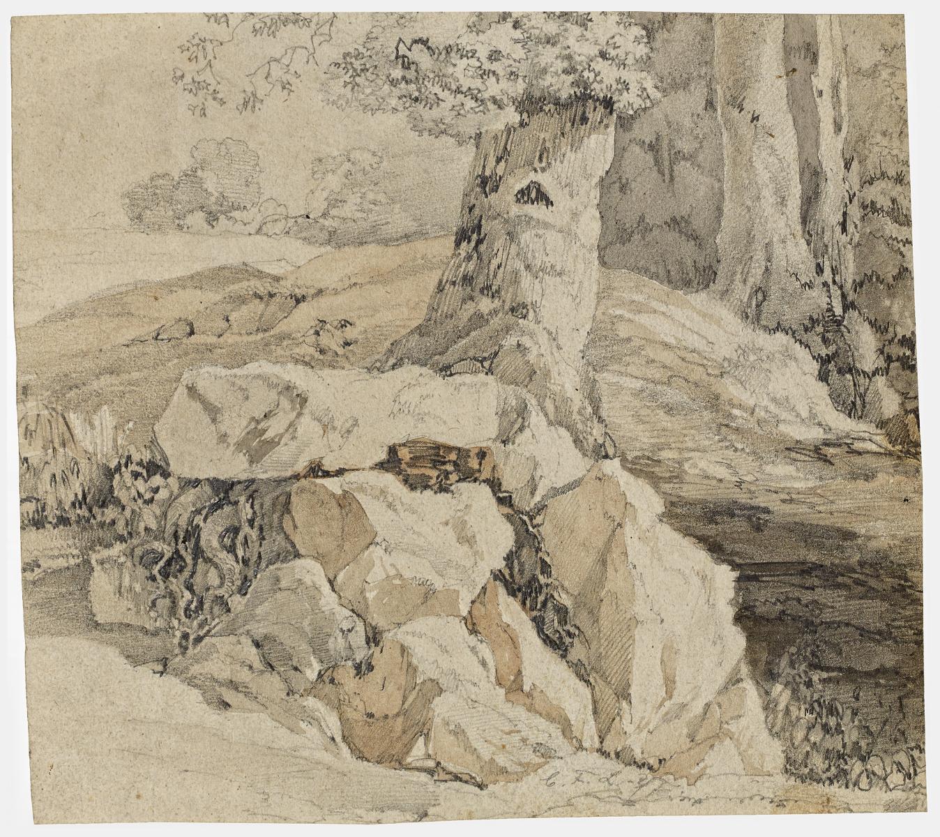 Karl-Friedrich Lessing - Waldlandschaft mit Felsen