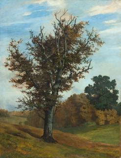 Karl Hagemeister - Buche in herbstlicher Landschaft