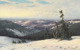 Karl Hauptmann - An Alpine forest