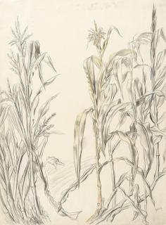 Karl Hubbuch - Bei einem Welschkornfeld