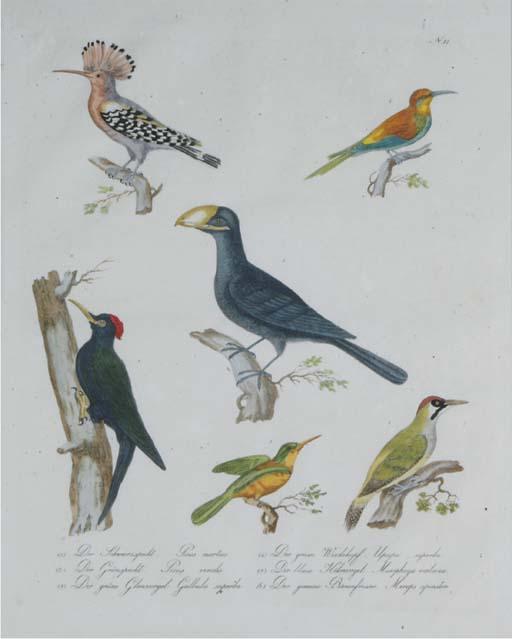 Karl Joseph Brodtmann - Naturhistorische Bilder Gallerie aus dem Theirreiche: Eight Plates