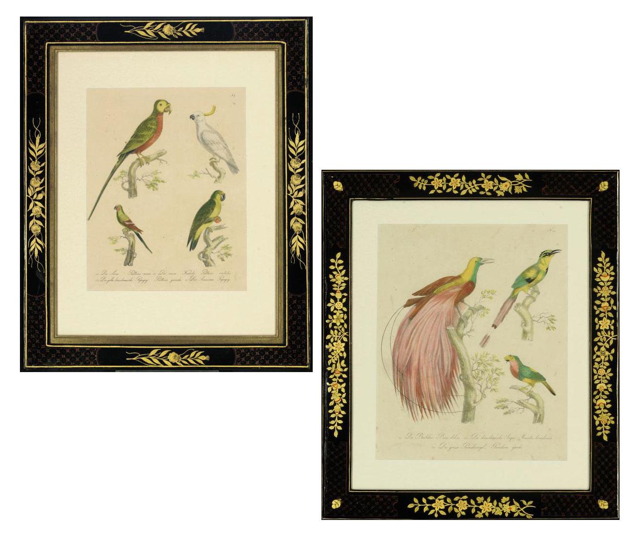 Karl Joseph Brodtmann - Studies of Birds from, Naturhistorische Bilder Gallerie aus dem Theirreiche