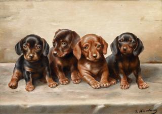 Karl Reichert - Dackelwelpen