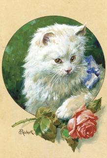 Karl Reichert - The Little White Kitten