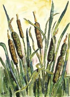 Karl Schmidt-Rottluff - Schilfrohr