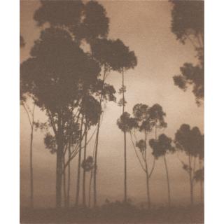 Karl Struss - Poem, 1921