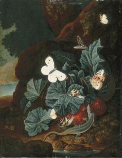 Karl Wilhelm de Hamilton - A forest floor still-life with a lizard, butterflies, snails and a snake