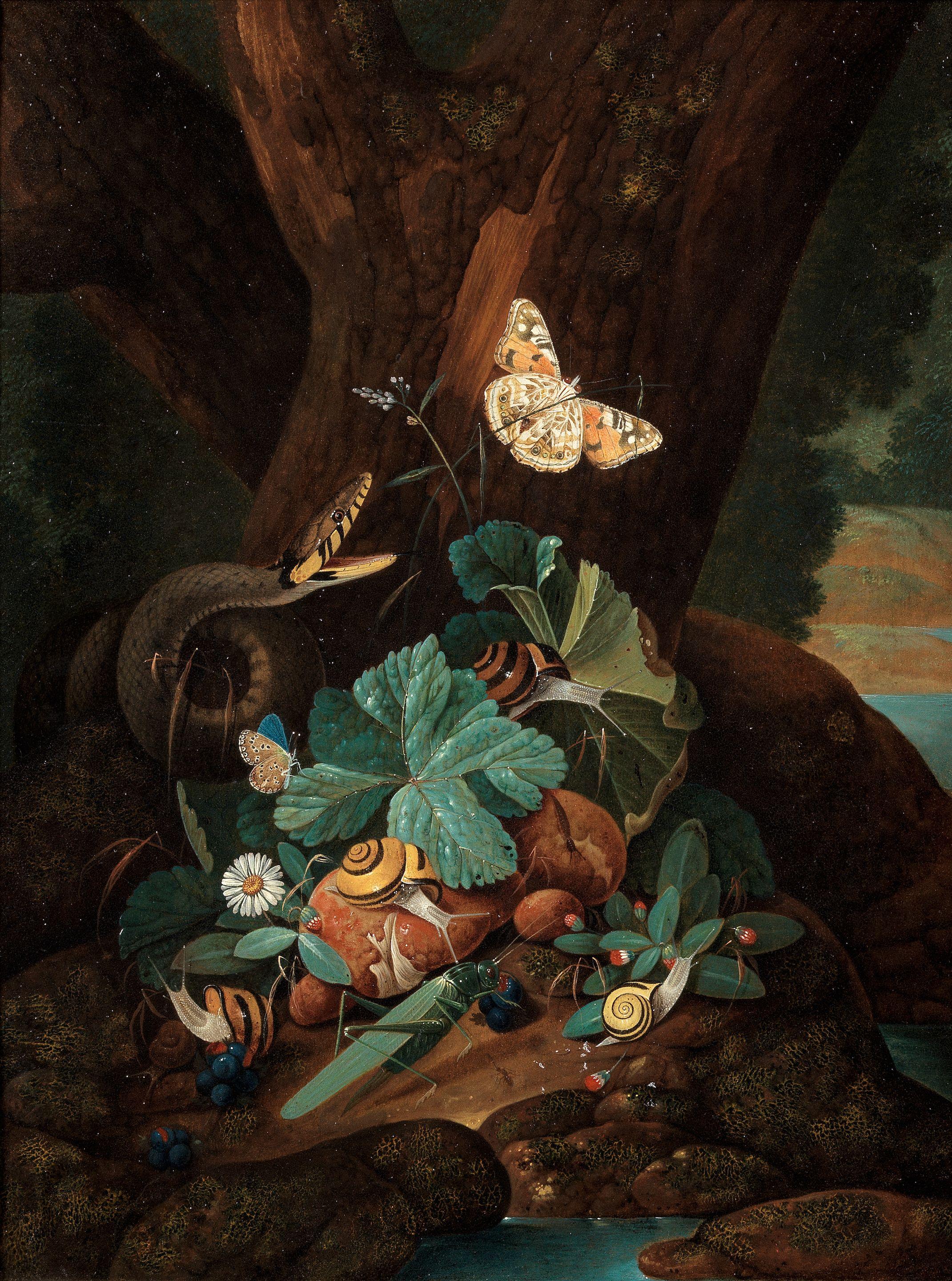 Karl Wilhelm De Hamilton - A forest floor still life with a snake, butterflies, snails and a grasshopper; and A forest floor still life with a lizard, butterflies and snails