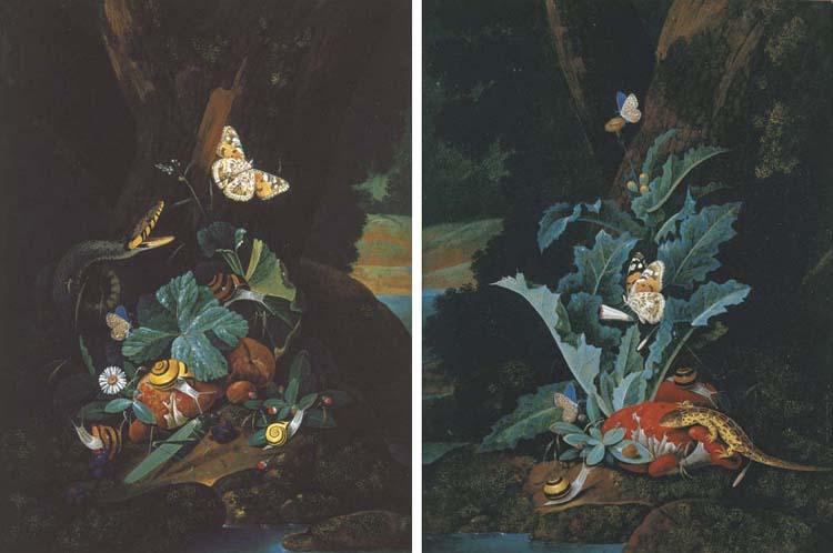 Karl Wilhelm De Hamilton - A forest floor still life with a snake, butterflies, snails and a grasshopper; and A forest floor still life with a lizard, butterflies and snails
