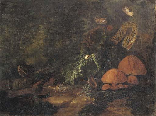 Karl Wilhelm de Hamilton - A forest floor still life with snakes, butterflies, snails, a grasshopper and a lizard