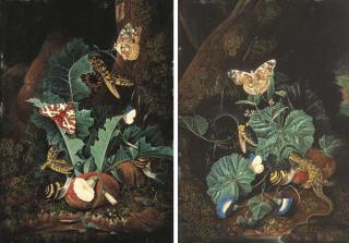 Karl Wilhelm De Hamilton - Forest floor still lifes with lizards, snakes, Painted Lady butterflies, a Red Tiger moth, snails, thistle and convolvulus