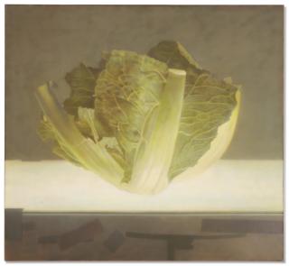 Karolus Lodenkamper - Groene Kool