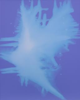 Kasper Sonne - Txc65