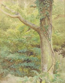 Kate Greenaway, R.I. - A wooded glade