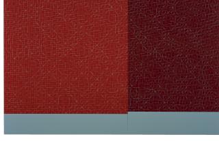 Kate Shepherd - Double Wall, One Hundred Faults, Two Reds