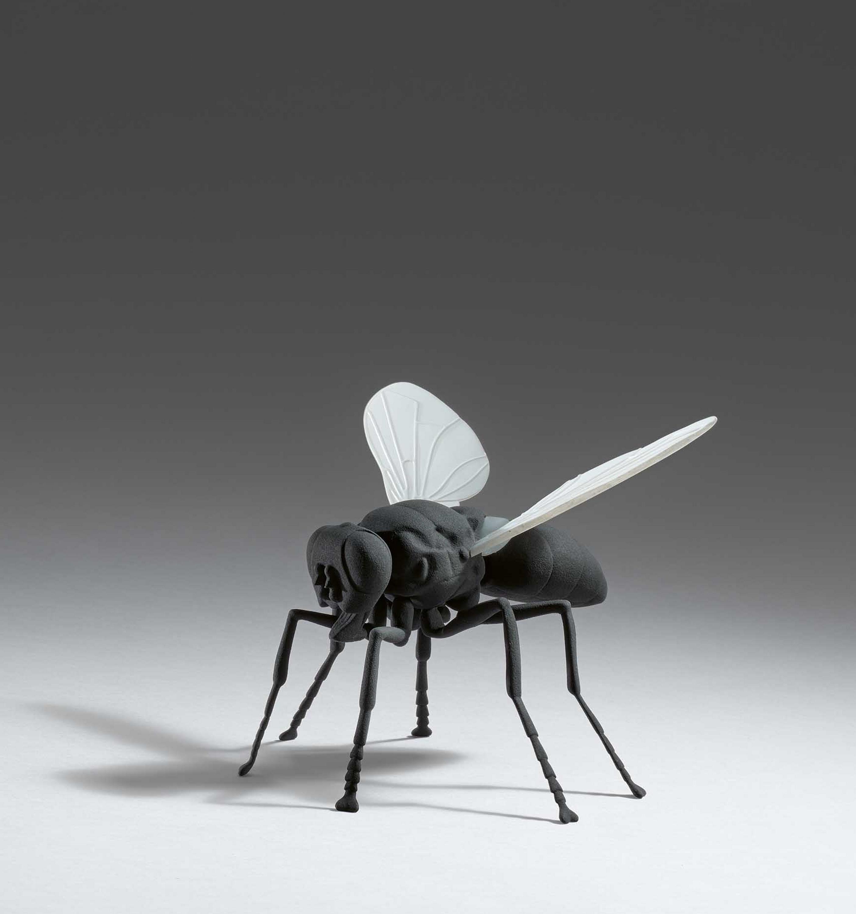 Katharina Fritsch - Fliege.