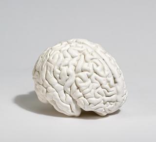 Katharina Fritsch - Gehirn
