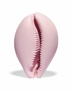 Katharina Fritsch - Shell