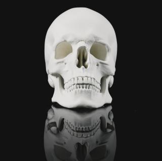 Katharina Fritsch - Totenkopf (Skull)