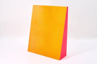 Katharina Grosse - Kopf- und Lesehilfe: Der Grosse Rückbau 1/50.