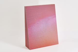 Katharina Grosse - Kopf- und Lesehilfe: Der Grosse Rückbau.