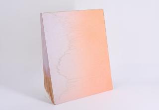 Katharina Grosse - Kopf- und Lesehilfe: Der Grosse Rückbau.