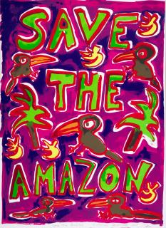 Katherine Bernhardt - Save the Amazon