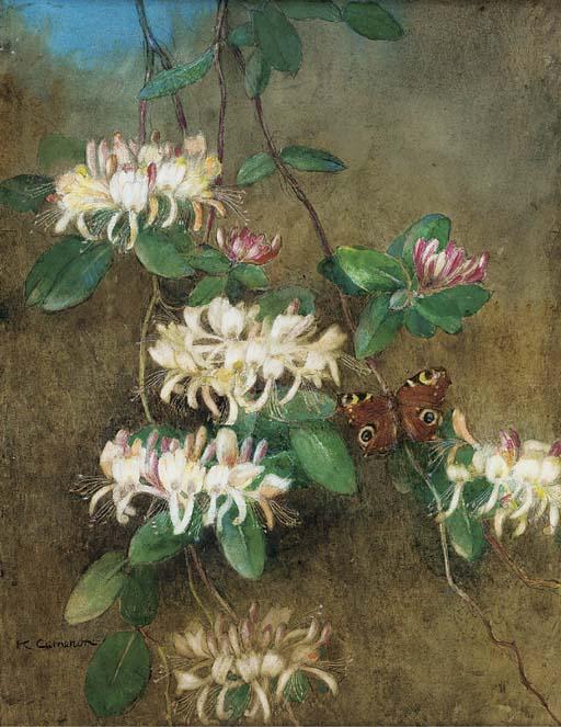 Katherine Cameron, R.S.W. - Honeysuckle