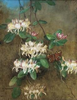 Katherine Cameron, R.S.W. - Honeysuckle