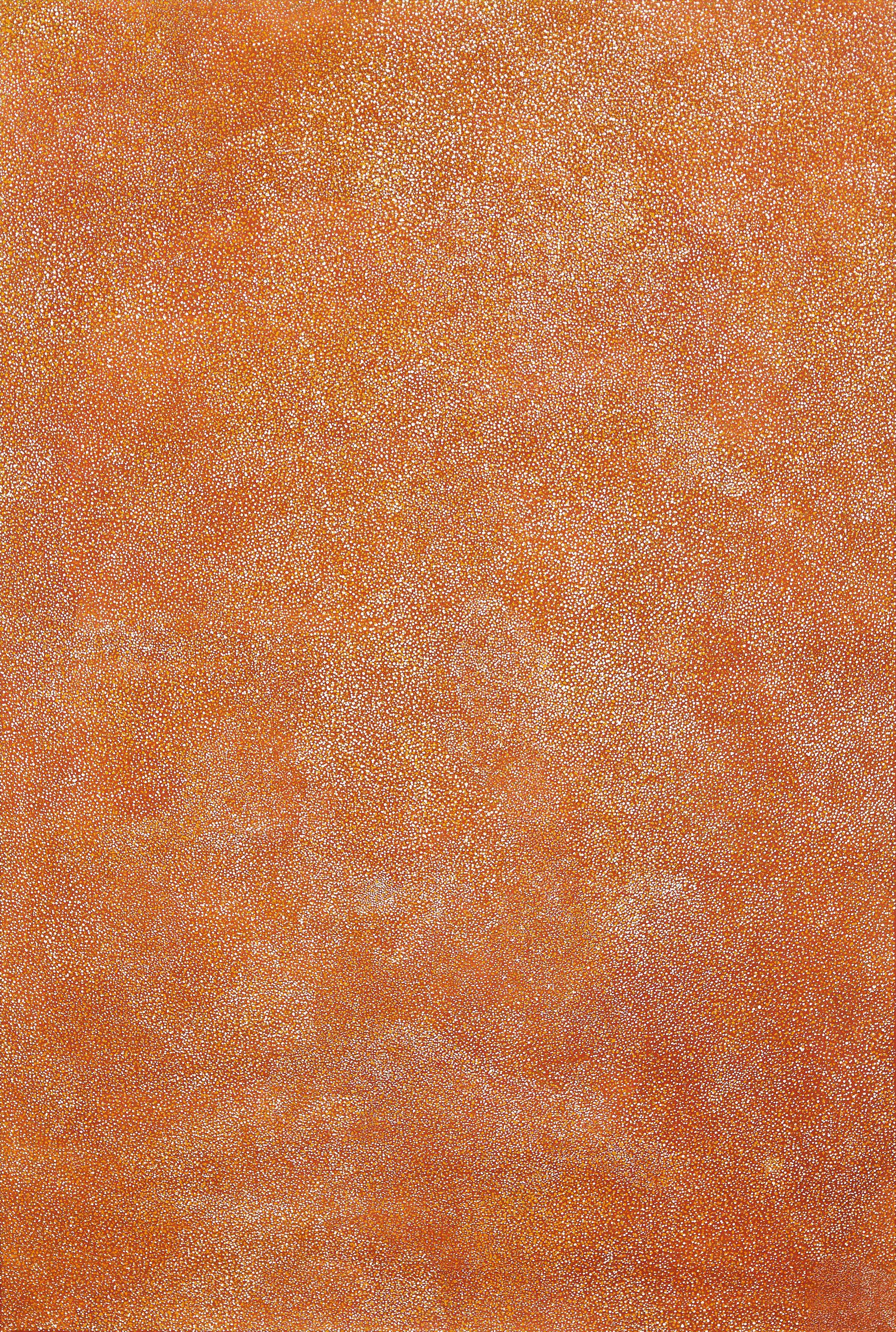 Kathleen Petyarre - Thorny Devil Lizard Dreaming (After Sandstorm), 1996