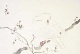 Kawai Gyokudo - Hakukyu (White dove)