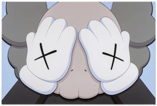 Kaws - NYT (COMPANION CLOSE UP) Brown