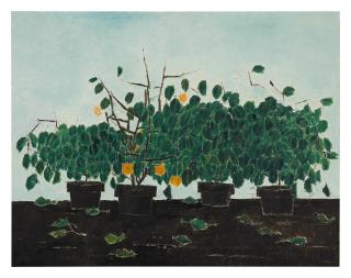 Kazuo Nakamura - Four Plants