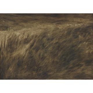 Kazuo Nakamura - Rushing Wind