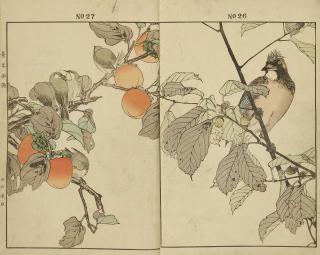 Keinen Imao - Illustriertes Buch.