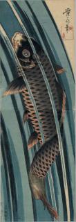 Keisai Eisen - Carp leaping a waterfall