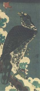 Keisai Eisen - Hawk On Snowy Branch Eyeing A Sparrow