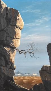 Keith Alexander - Namib View