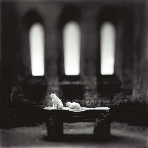 Keith Carter - San Galgano, 1998; and Angel, 1998