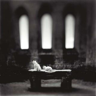 Keith Carter - San Galgano, 1998; and Angel, 1998